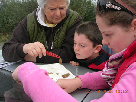 Identifying cocoons at Coolrain Bog